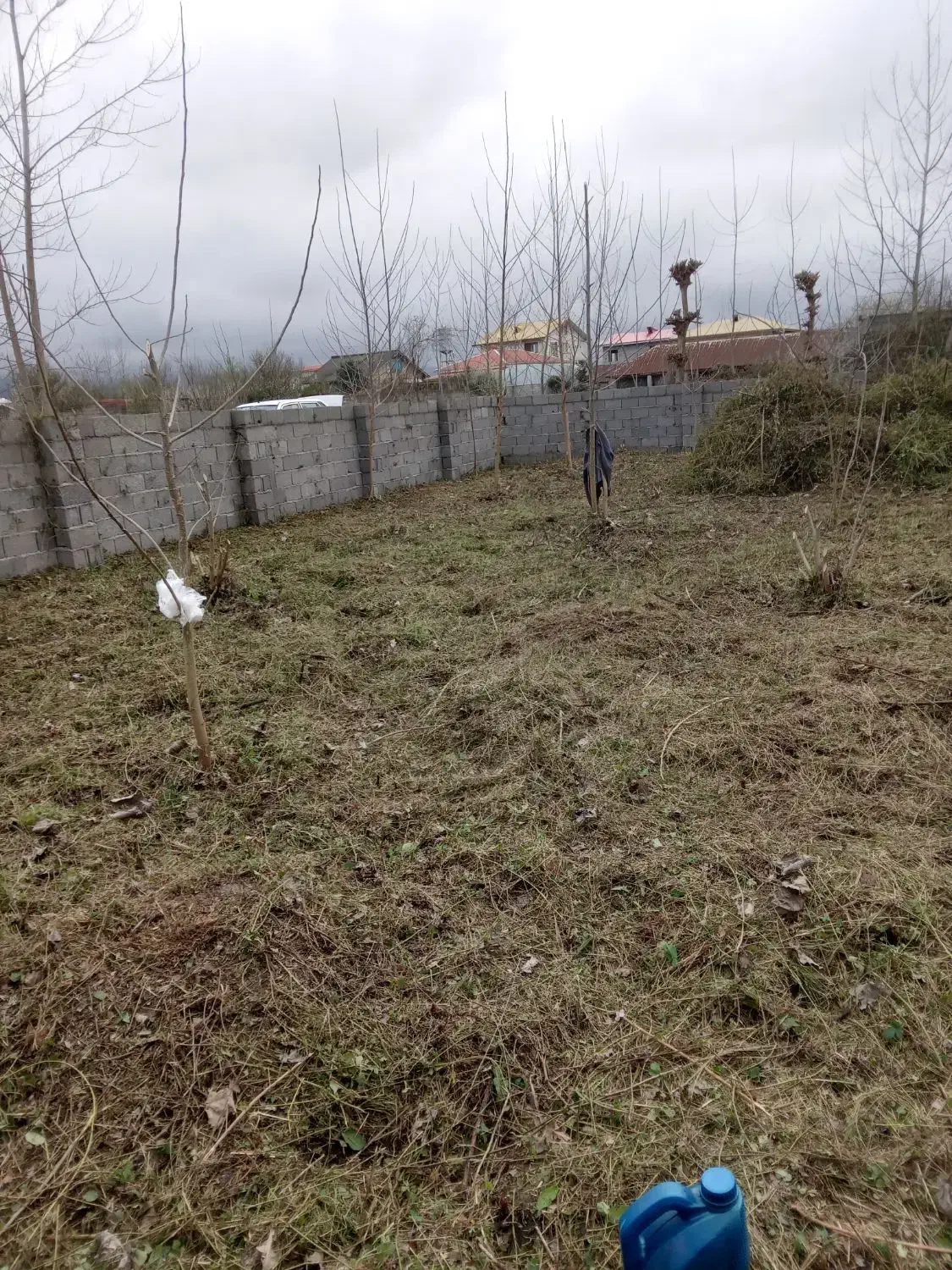 علف زنی زمینها با دستگاه علفزن|خدمات باغبانی و درختکاری|لنگرود, |دیوار