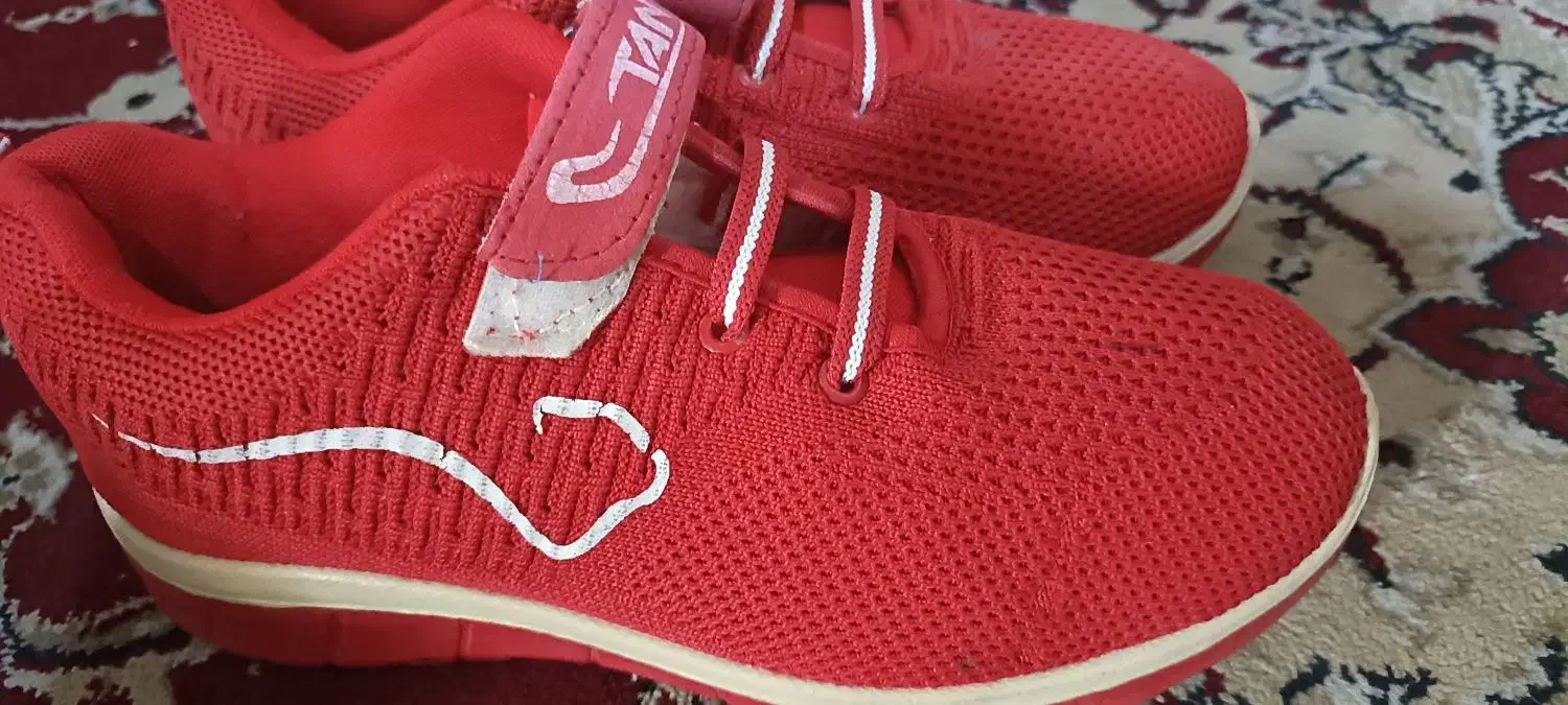 کفش اسپرت|کیف، کفش، کمربند|زابل, |دیوار