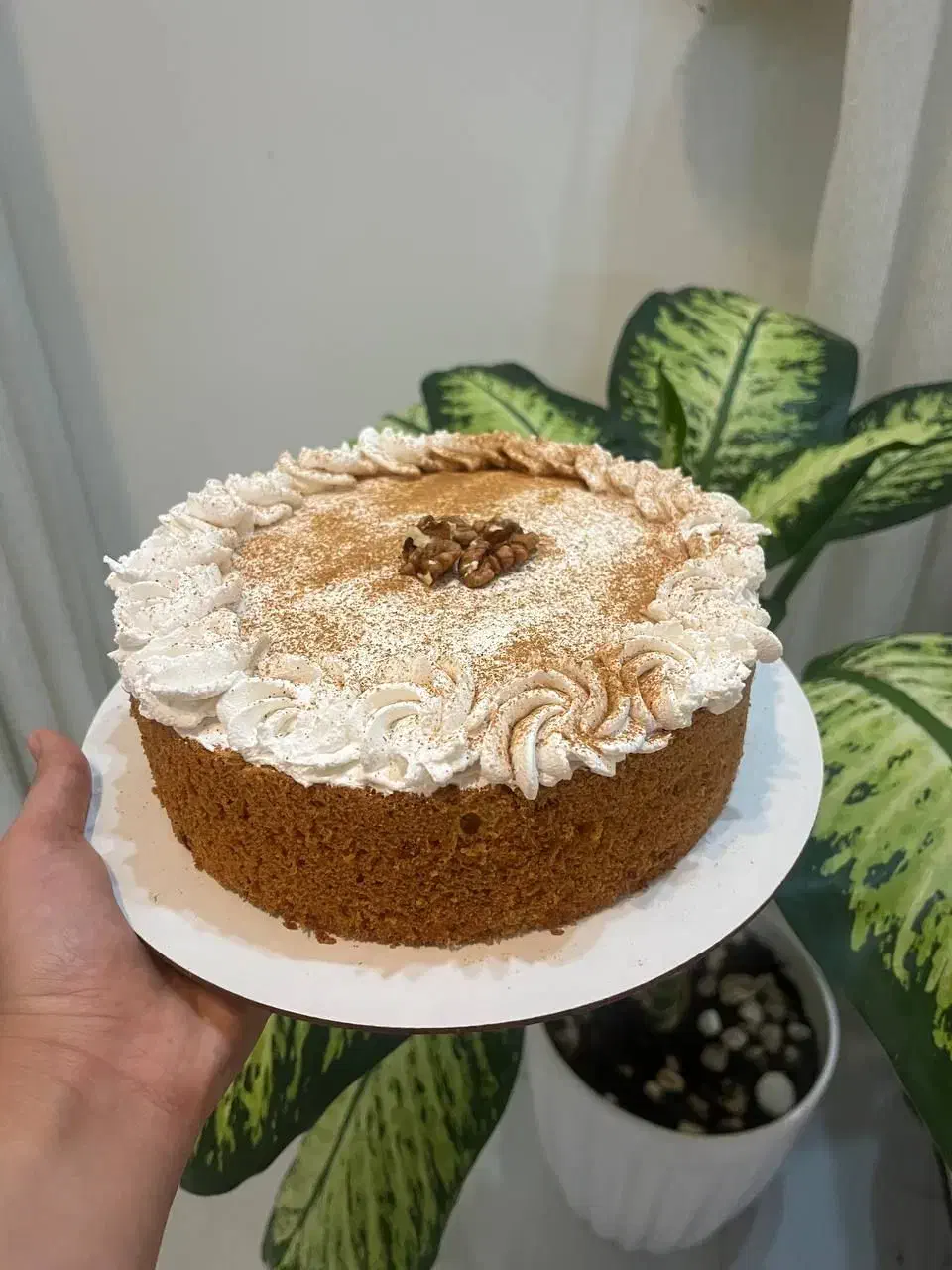 کیک تولد،کافی شاپی،چیز کیک،تیرامیسو|خوردنی و آشامیدنی|مشهد, رستگار|دیوار