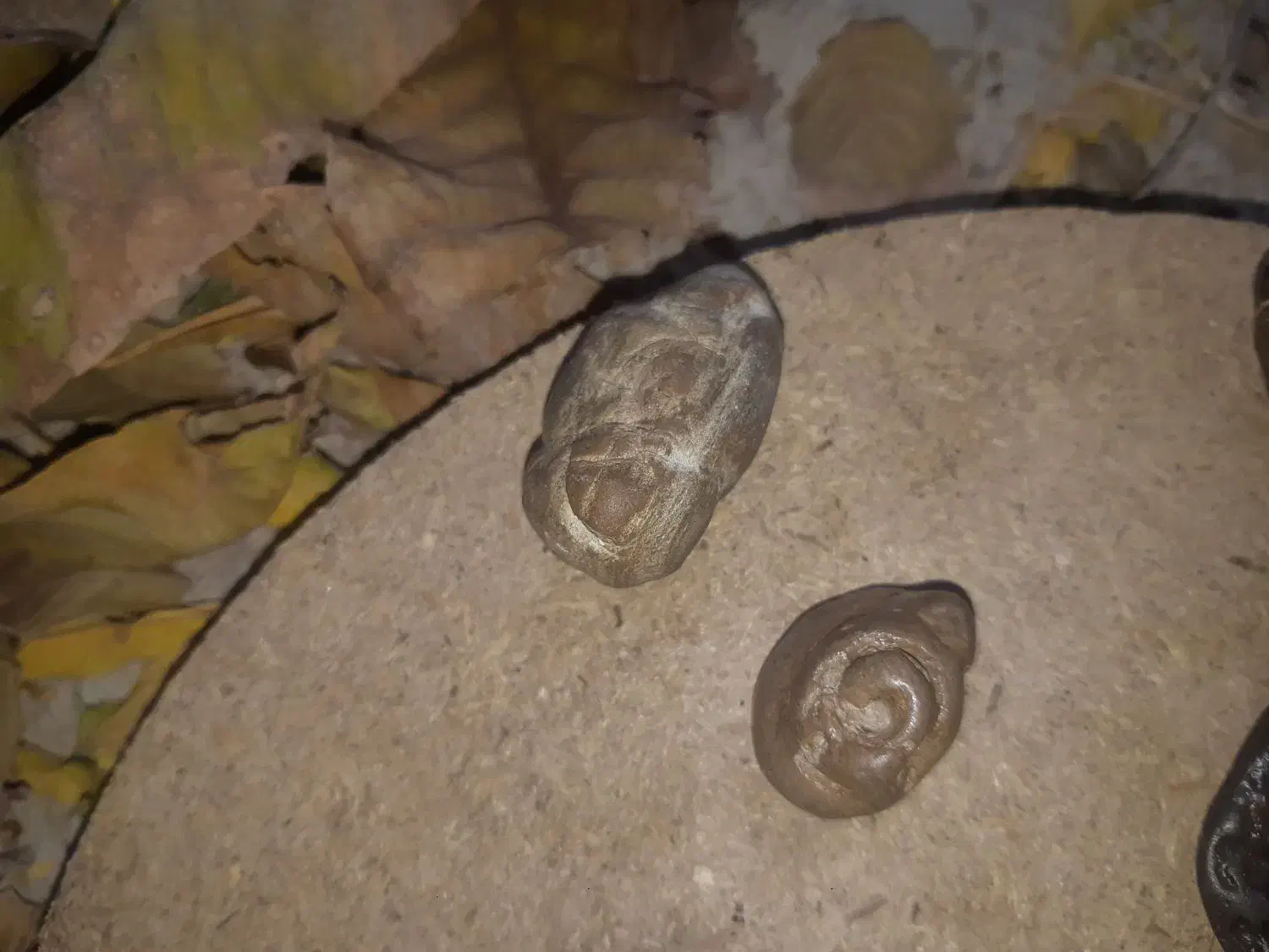 سنگ قیمتی|کلکسیون اشیاء عتیقه|خرم‌آباد, |دیوار