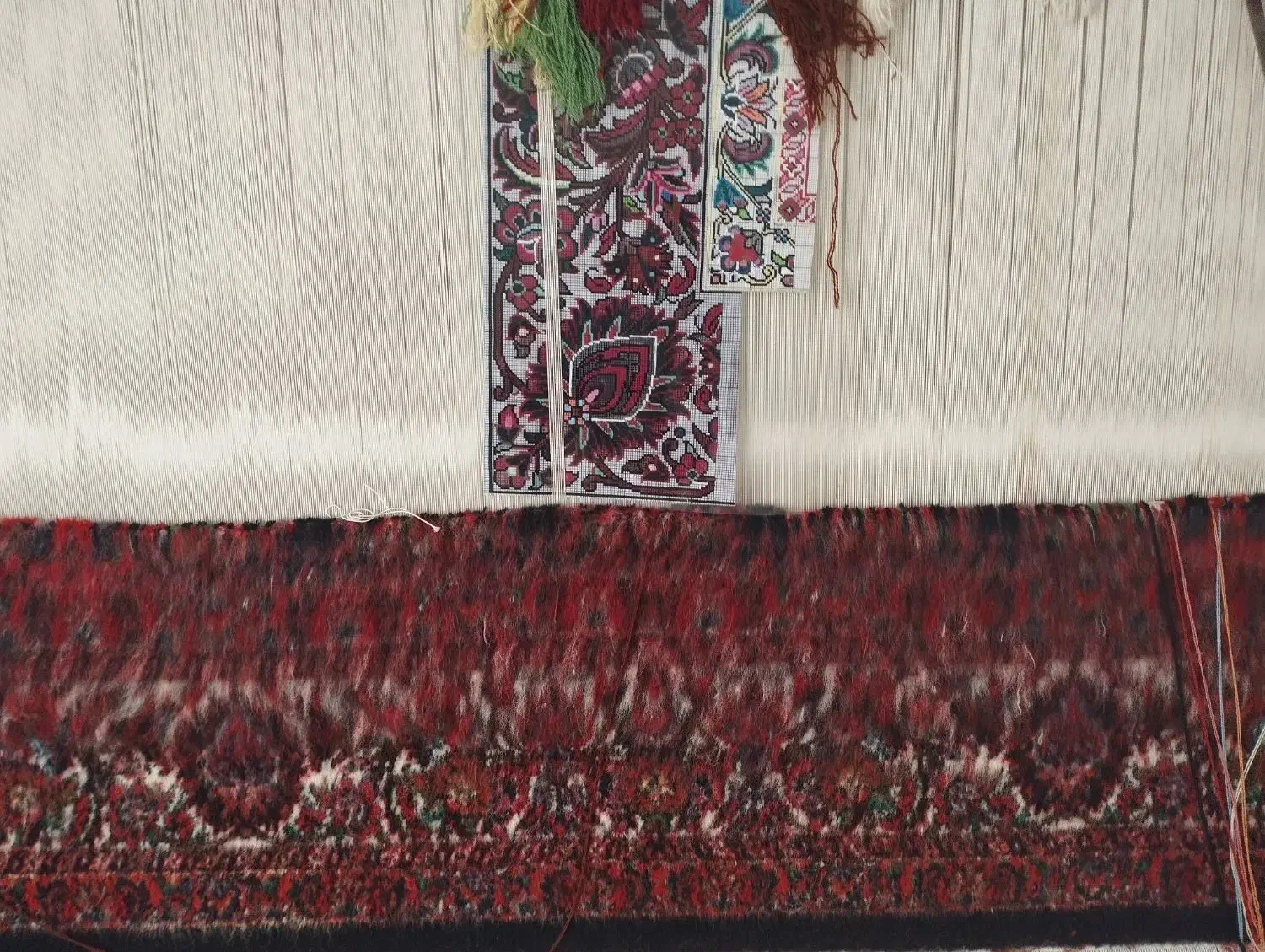 فرش دستباف نیمه کاره|فرش|زنجان, |دیوار