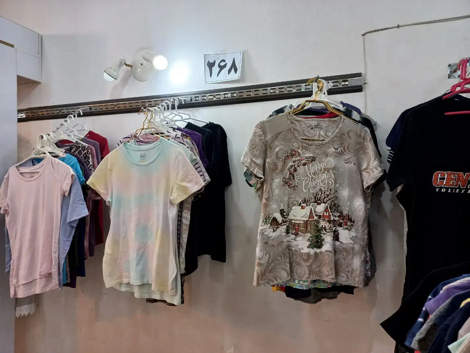 تیشرت  وارداتی نخ پنبه حراج فصل به قیمت عمده 268|لباس|کاشان, پاقپان|دیوار