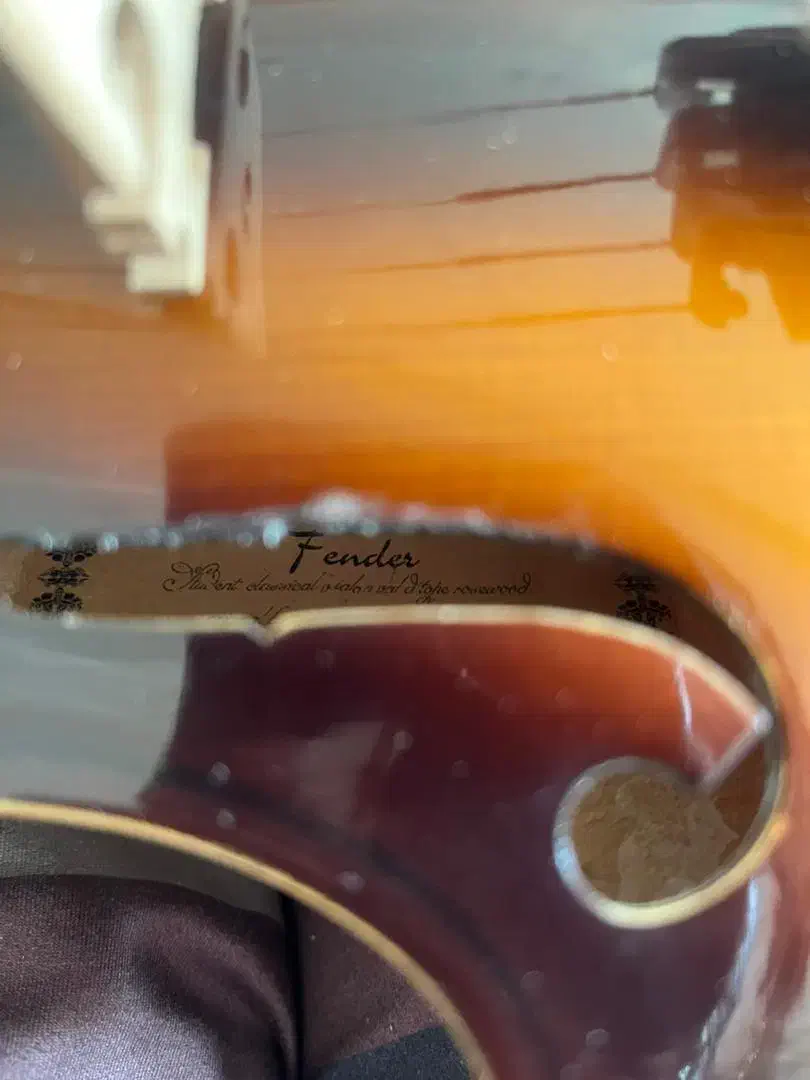 ویولن فندر v2008 core|ویولن|رشت, حافظ آباد|دیوار