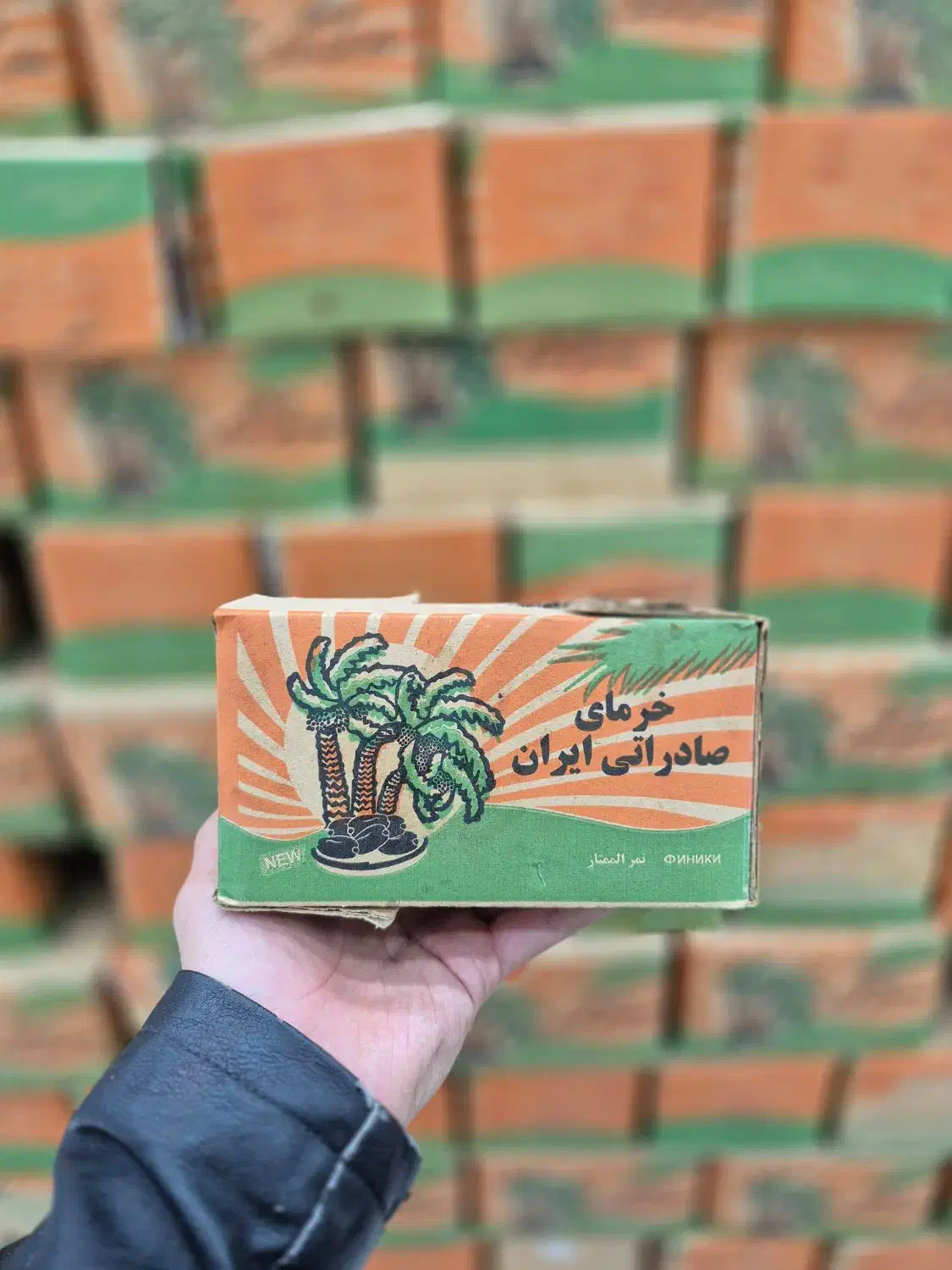 خرما شاهانی|خوردنی و آشامیدنی|قم, شهرک سازمان آب|دیوار