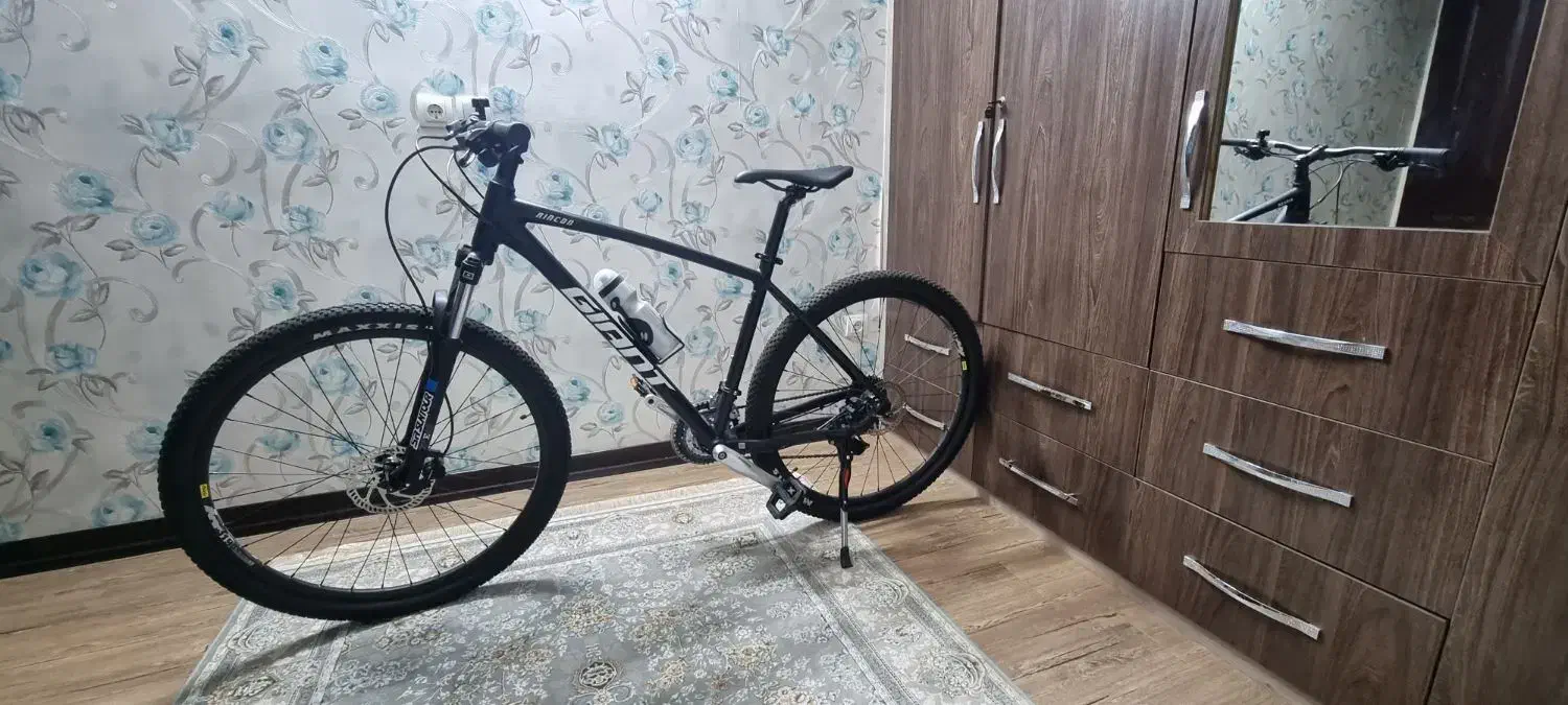 دوچرخه فوق حرفه ای جاینت نو|دوچرخه، اسکیت، اسکوتر|فولادشهر, C5|دیوار