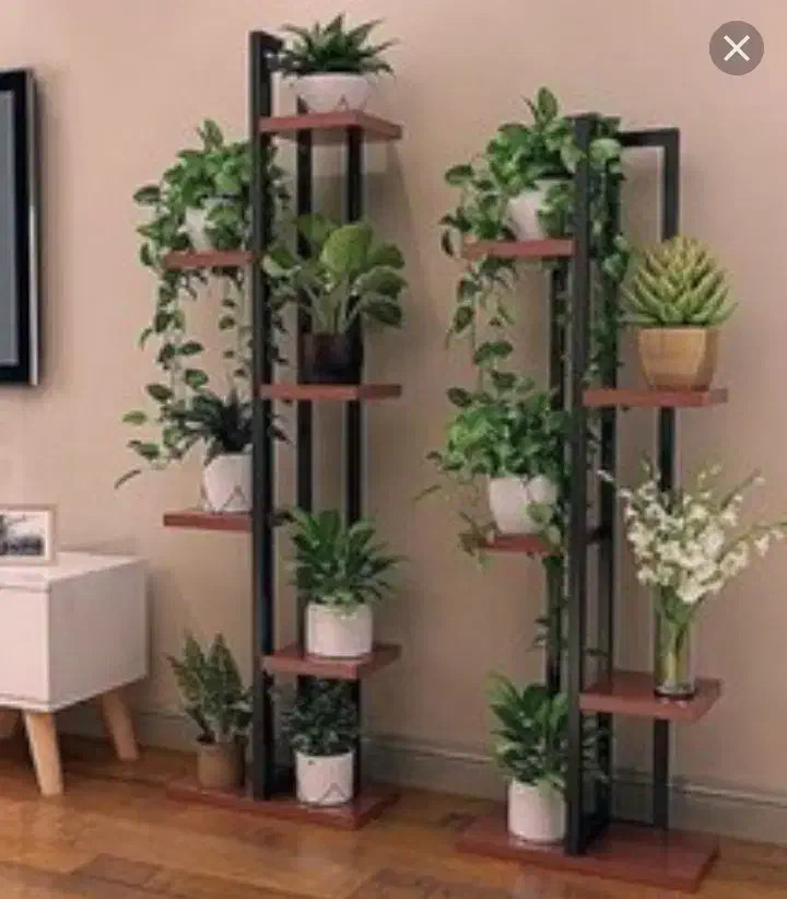 کلکسیون زیبایی|کلکسیون اشیاء عتیقه|قزوین, |دیوار