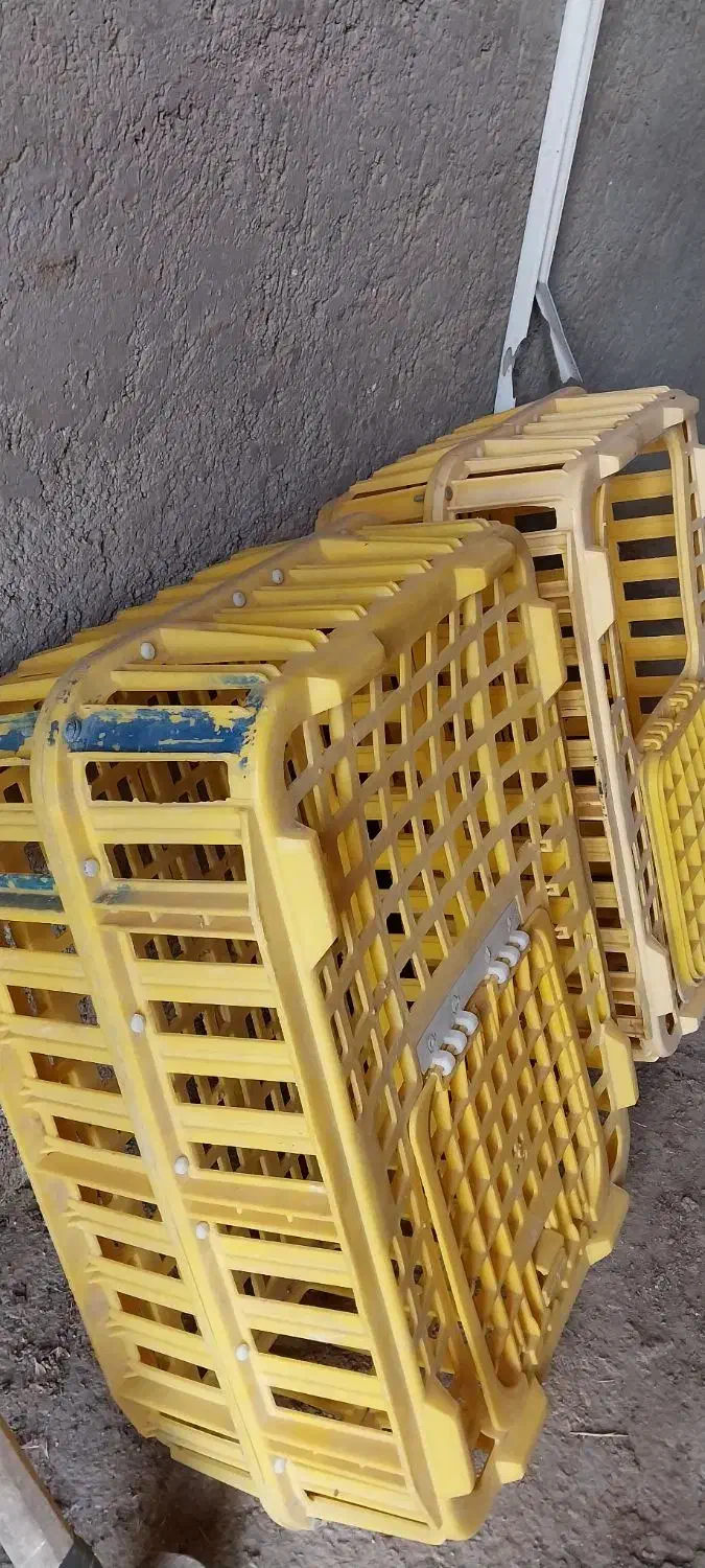 جعبهی حیوانات|لوازم جانبی حیوانات|زنجان, |دیوار