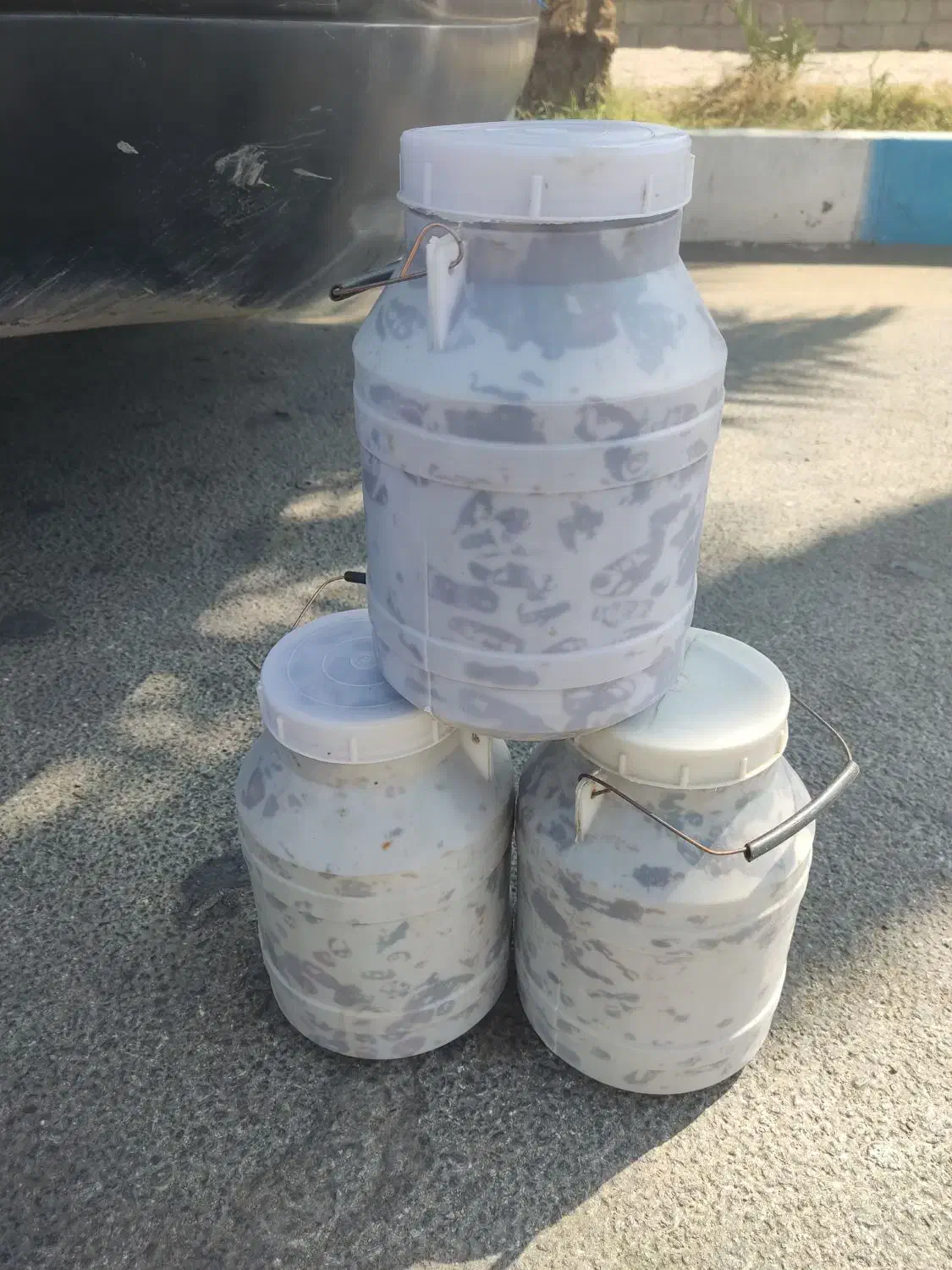 خرما هلیله تازه|خوردنی و آشامیدنی|ایرانشهر, |دیوار