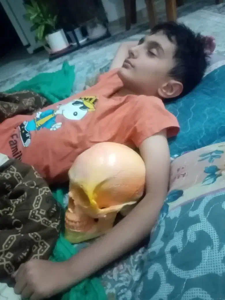 جمجمه بتنی دکوری آناتومیک زن و مرد|مجسمه، تندیس، ماکت|تهران, شهرک پردیسان|دیوار