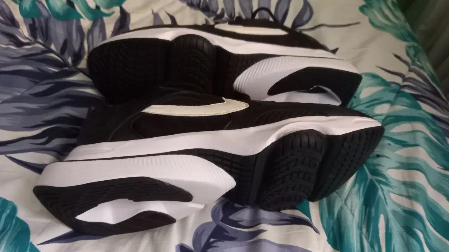 کتونی Nike air zoom division سایز ۴۱|کیف، کفش، کمربند|تهران, بوستان چیتگر|دیوار