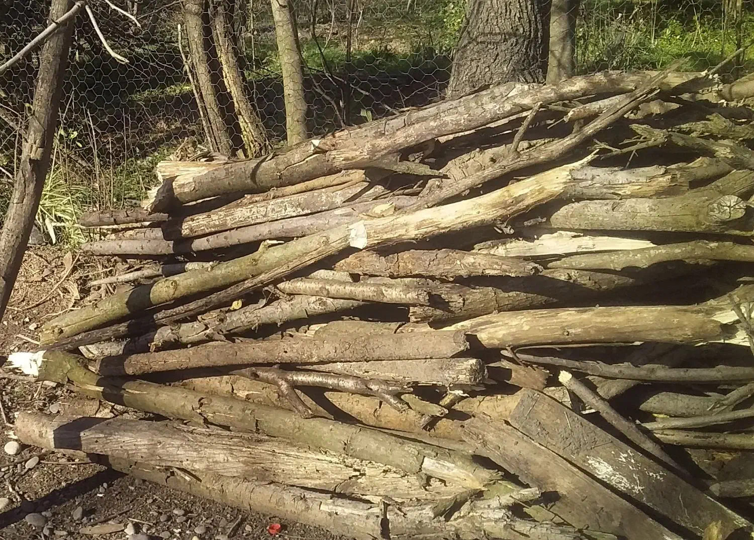 هیزم|لوازم نظافت|سنگر, |دیوار