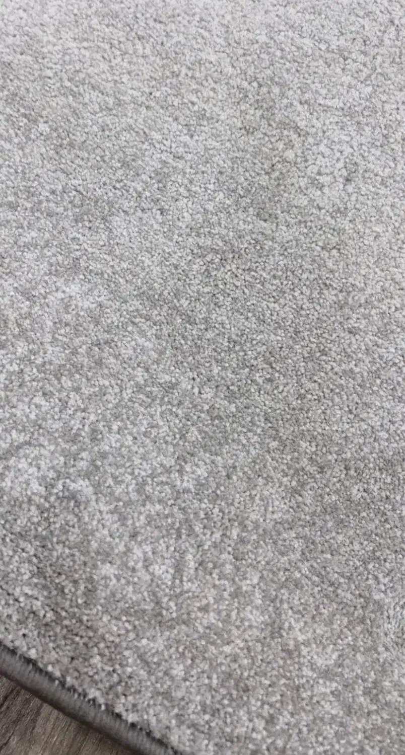 پالاز موکت|موکت|بندر امام خمینی, |دیوار