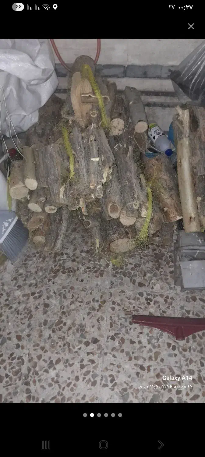 هیزم|حراج|قم, نوبهار|دیوار