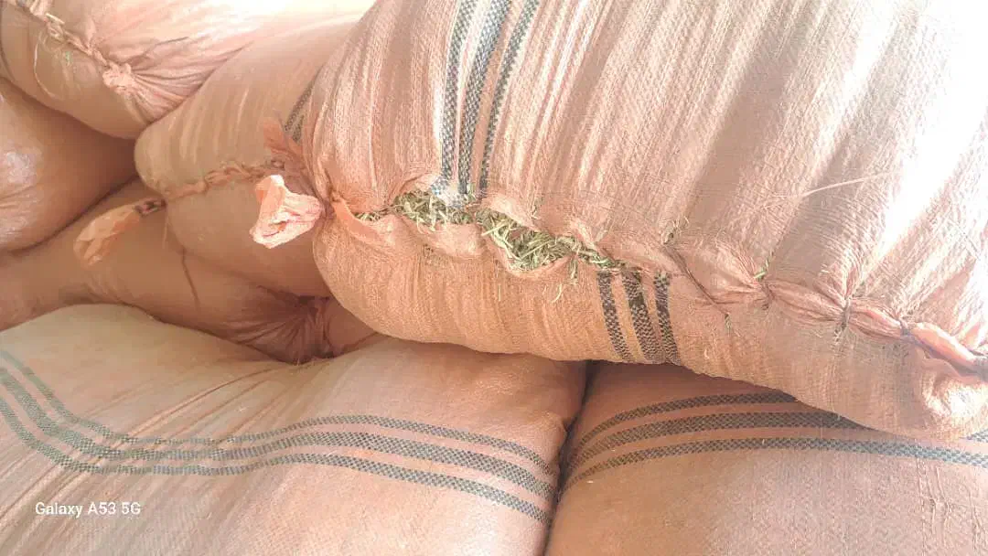 کاه لوبیا وگندم|عمده‌فروشی|یاسوج, |دیوار