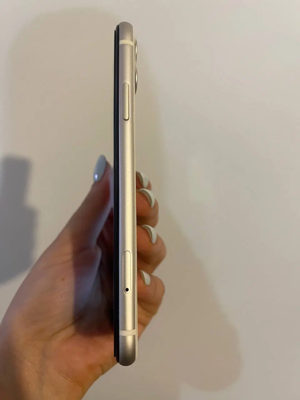 Iphone 11|موبایل|تهران, درختی|دیوار