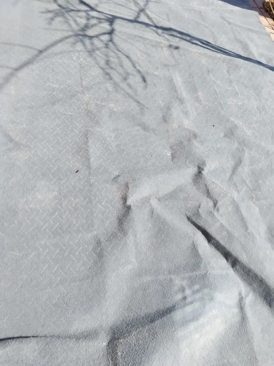 موکت ۳۰متر|موکت|قرچک, باقرآباد|دیوار