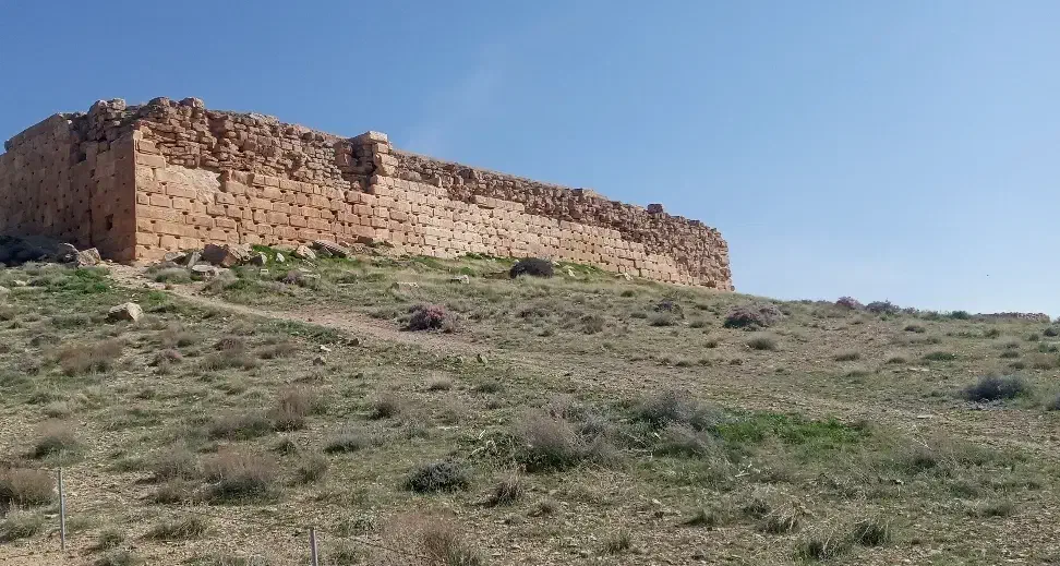 باغ فروشی|فروش زمین و ملک کلنگی|خوسف, |دیوار