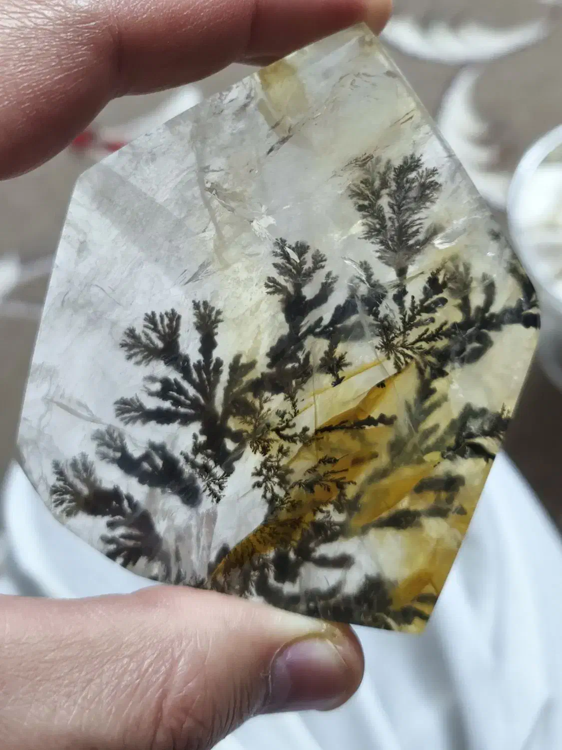 کوارتز شجر قواره برزیلی کلکسیونی|جواهرات|قم, ارم|دیوار