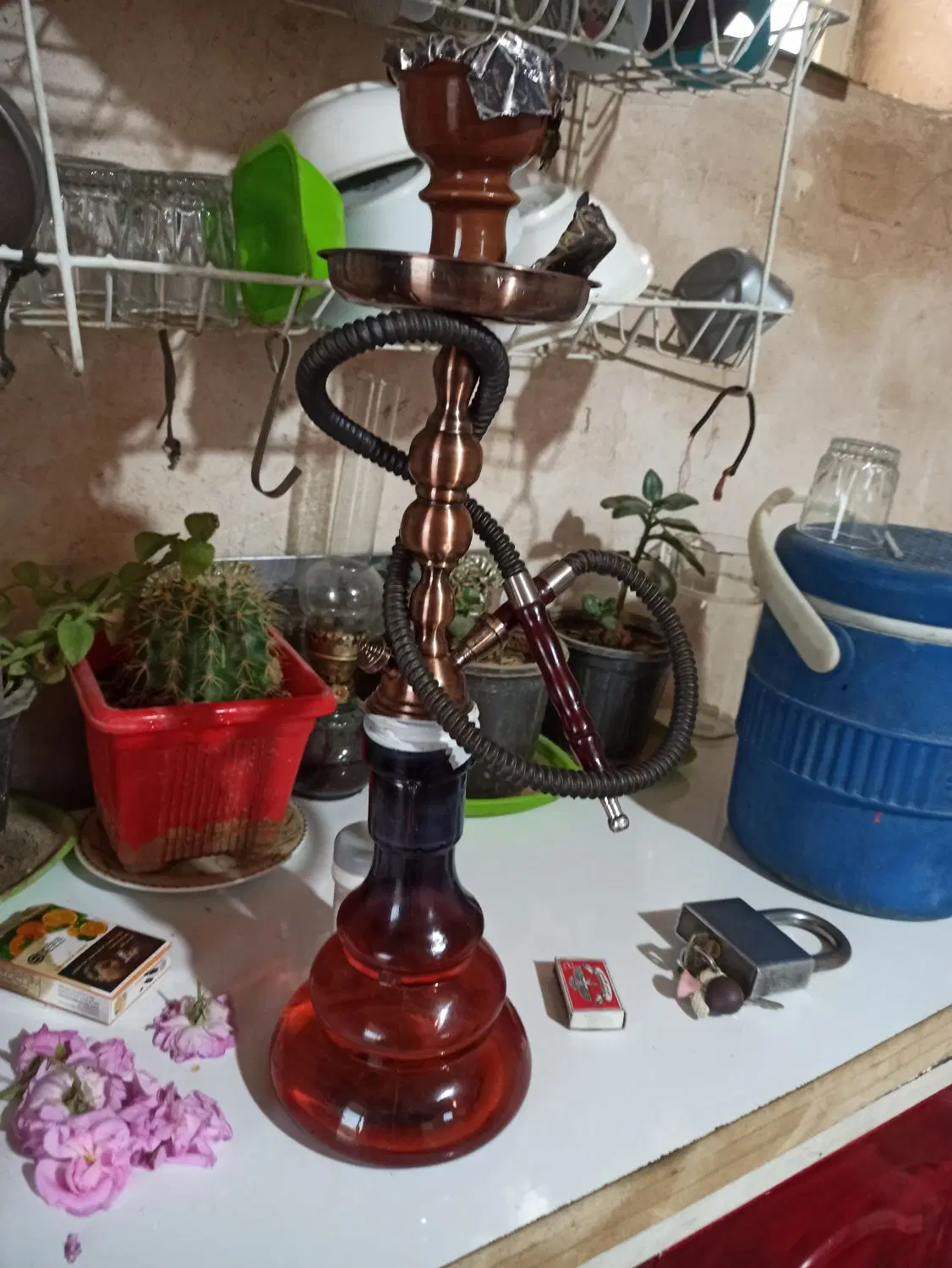 قلیان|کلکسیون و سرگرمی|شیروان (خراسان), |دیوار
