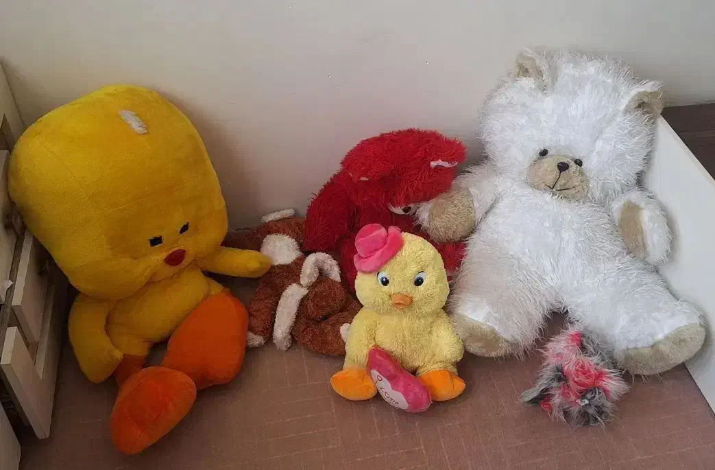 عروسک|اسباب‌بازی بچه|ارومیه, |دیوار