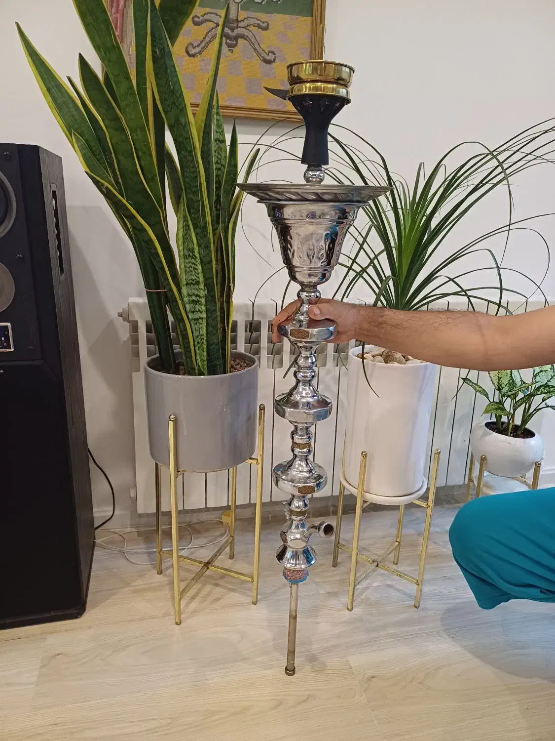 قلیون|کافیشاپ و رستوران|تربتحیدریه, حسنی بالا|دیوار