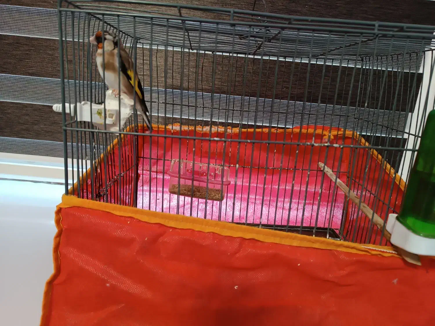 دوتاقفس کاملاسالم|لوازم جانبی حیوانات|ایلام, |دیوار