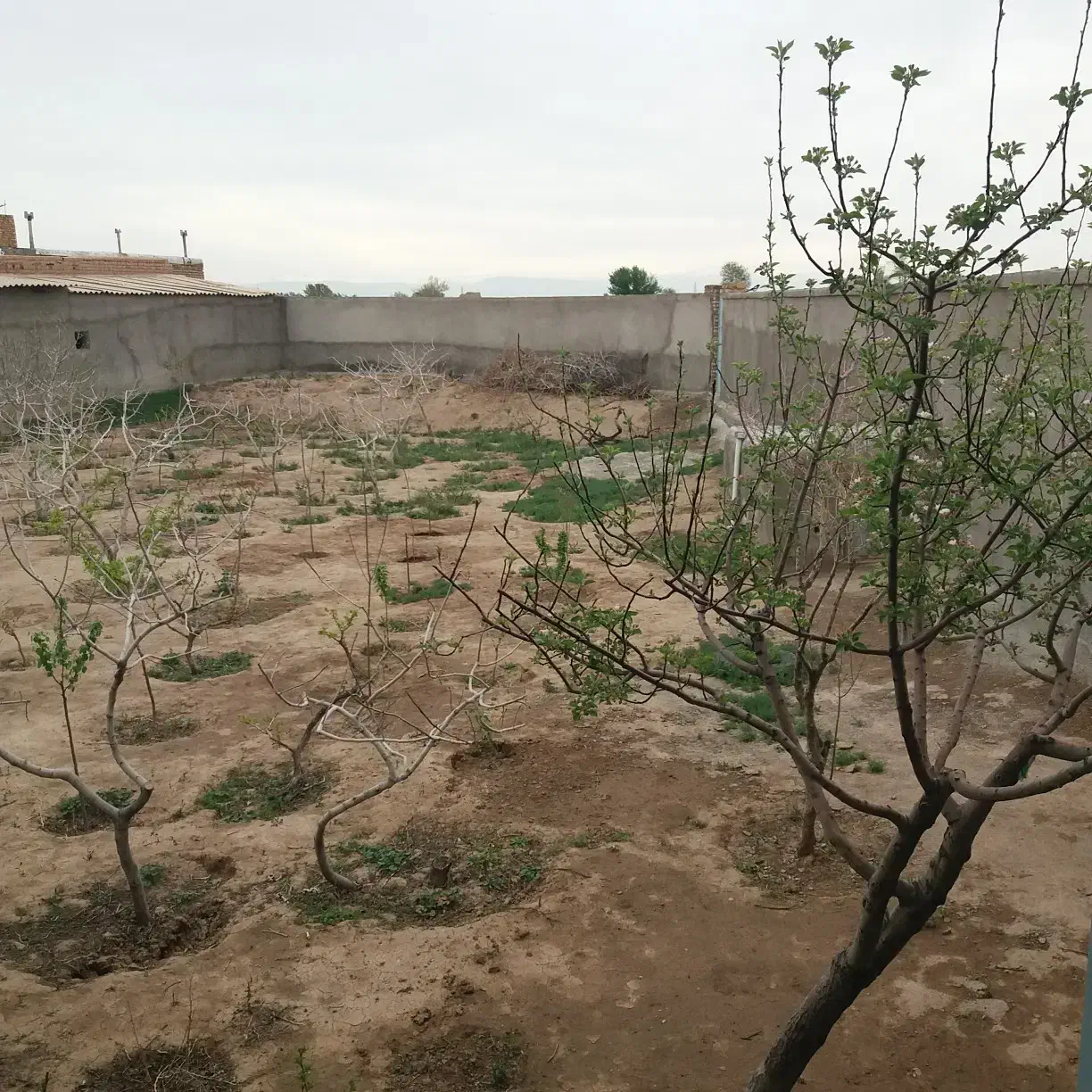 فروش املاک|فروش خانه و ویلا|شال, |دیوار