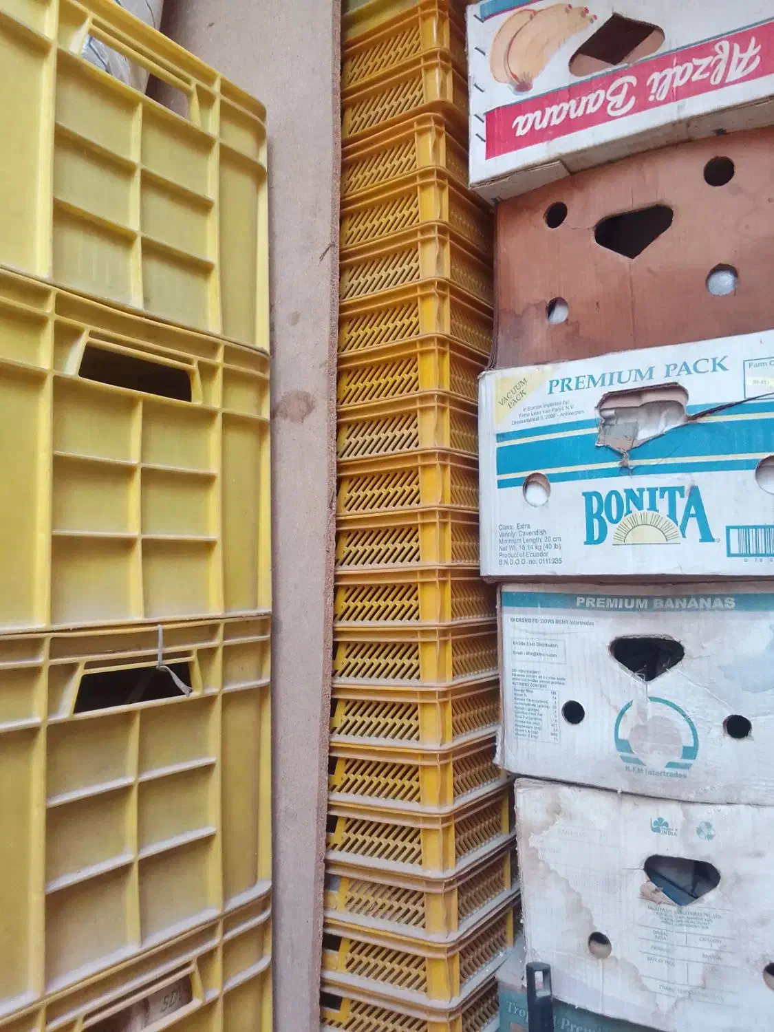 سبدپلاستیکی تعداد ۴۱عدد نصف کارکرده ونصف نو|ابزارآلات|مشهد, پنجتن|دیوار