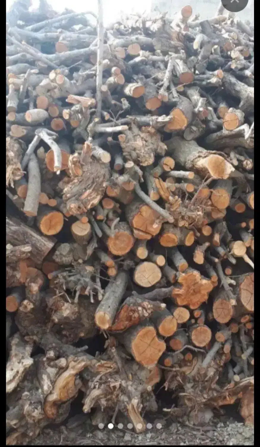 خریدار انواع چوب|خدمات باغبانی و درختکاری|روانسر, |دیوار