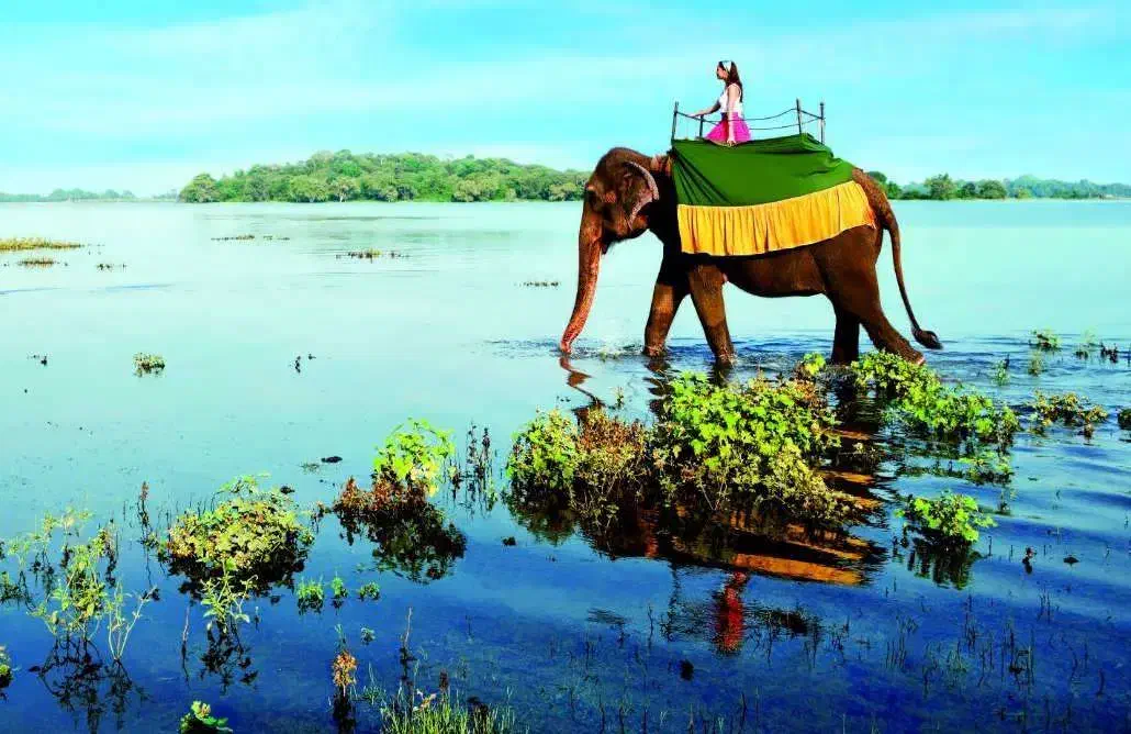 سریلانکا از مشهد (کلمبو کندی بنتوتا) اقساط 12 ماهه|تور و چارتر|مشهد, کوثر|دیوار