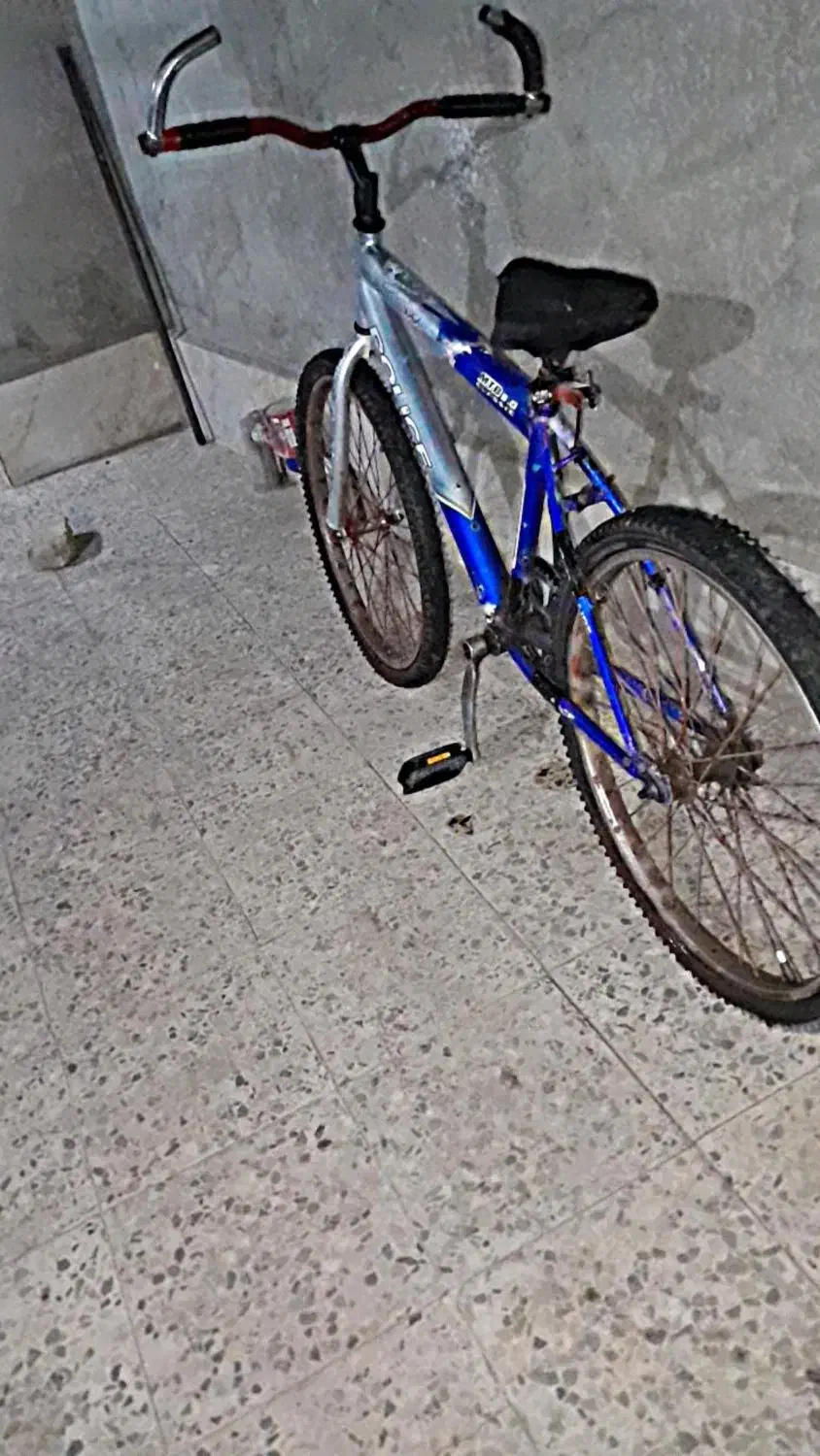 دوچرخه ۲۴|دوچرخه، اسکیت، اسکوتر|جیرفت, |دیوار