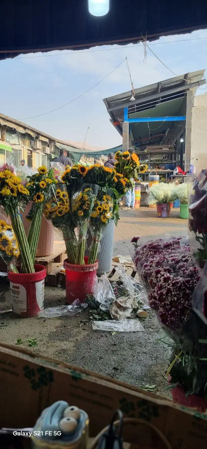 حسابدار نیمه حرفه ایی ترجیحا خانوم|استخدام مالی، حسابداری، حقوقی|ری, بازار گل خاوران|دیوار