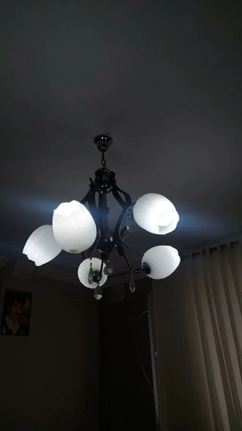 لوستر|لوستر و چراغ آویز|شیراز, شاه قلی بیگی|دیوار