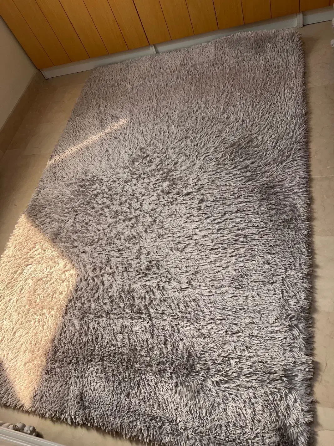 فرش پرز بلند محتشم|فرش|اندیشه, شهرک صدف|دیوار