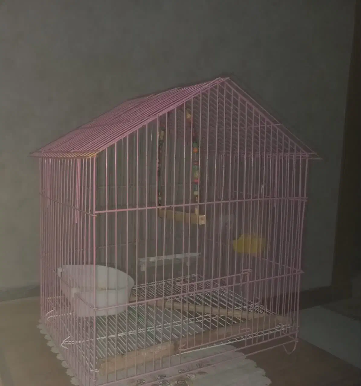 قفس|لوازم جانبی حیوانات|مبارکه, |دیوار