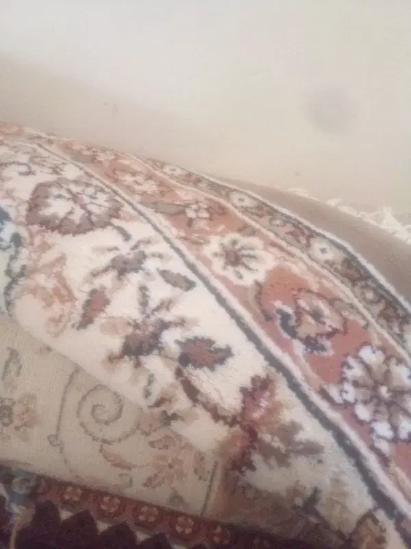 ۱۲متری بدون هیچ ایرادی|فرش|دورود, |دیوار