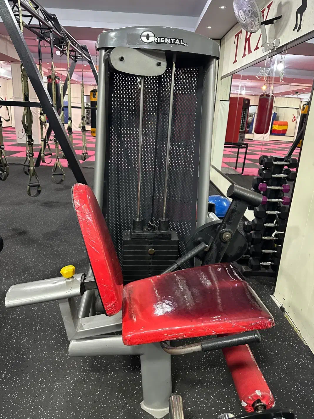 دستگاه های ورزشی(جلو پا دستگاه،اسمیت،اسکی فضایی)|تجهیزات ورزشی|اندیشه, اندیشه فاز ۴|دیوار