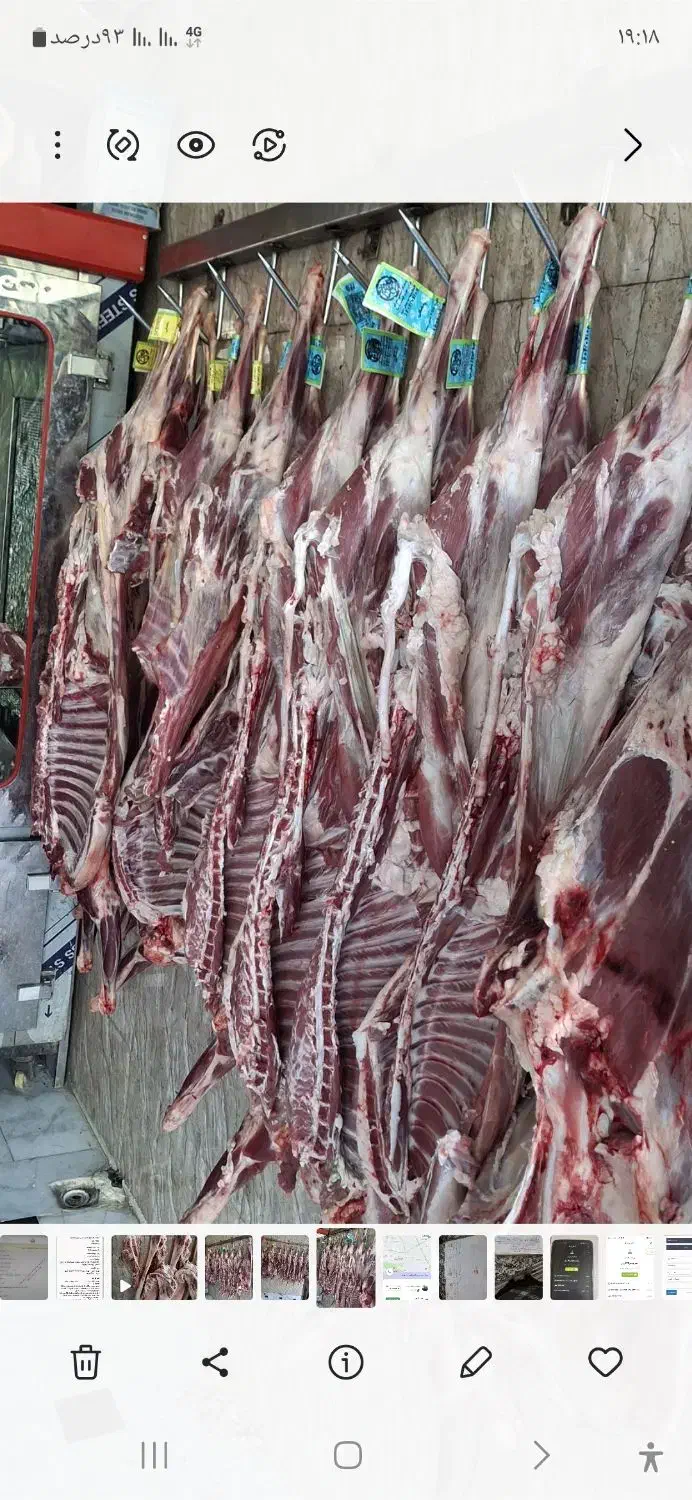 گوساله وگوسفند|خوردنی و آشامیدنی|تهران, دکتر هوشیار|دیوار