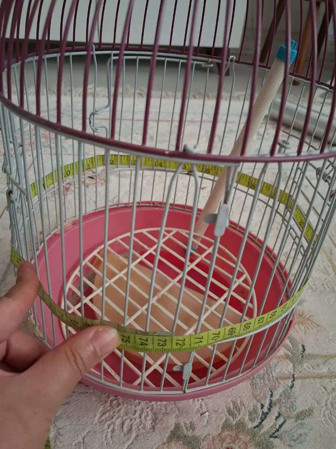 قفس استوانه کوچک|لوازم جانبی حیوانات|قرچک, شهرک گلها|دیوار