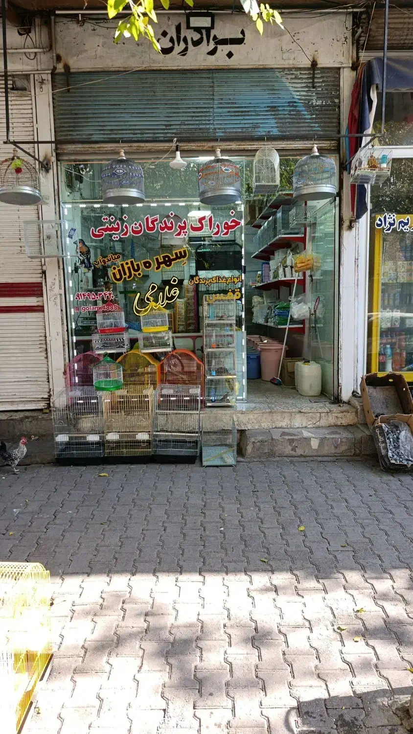 لوازم سرای سهره بازان میاندواب|لوازم جانبی حیوانات|میاندوآب, |دیوار