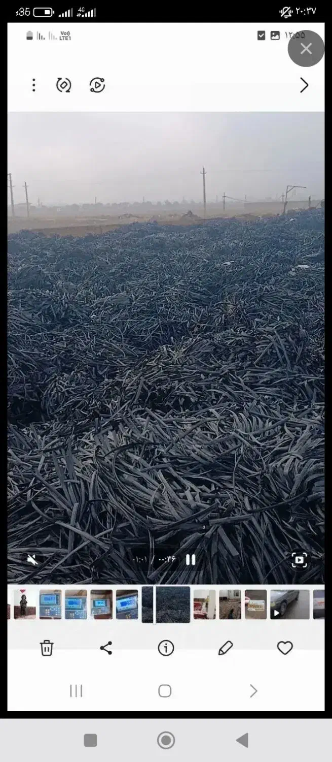 خریدار نوار تیپ هستم|خدمات باغبانی و درختکاری|سجاس رود, |دیوار