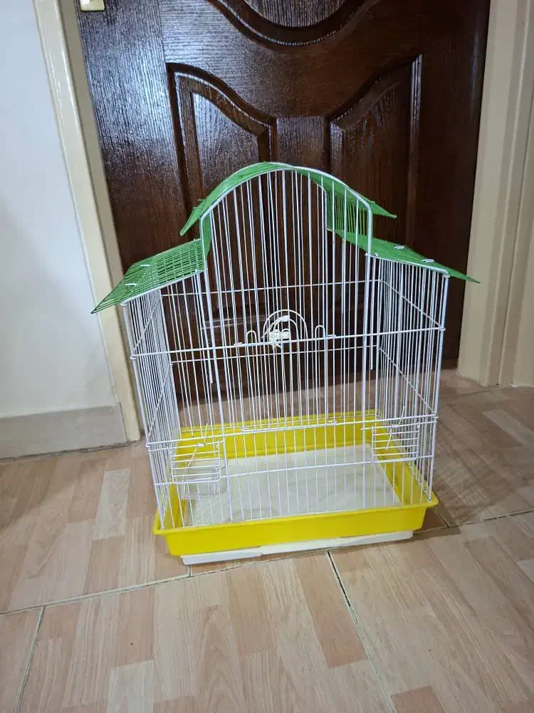 عروس هلندی به همراه دو قفس|پرنده|لاهیجان, گلستان|دیوار