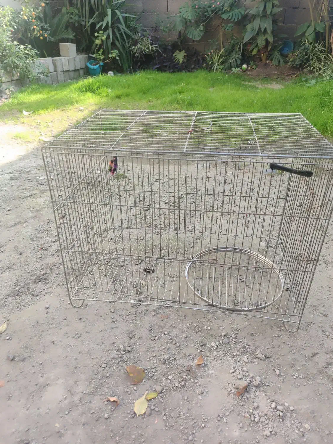 قفس پرنده|لوازم جانبی حیوانات|رشت, معلولین|دیوار