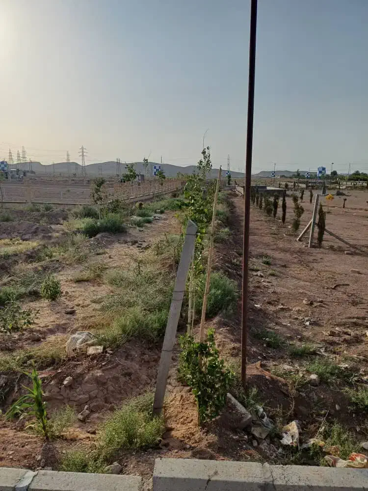 زمین باغی دارای مجوز جهاد|فروش زمین و ملک کلنگی|رباطکریم, الارد|دیوار