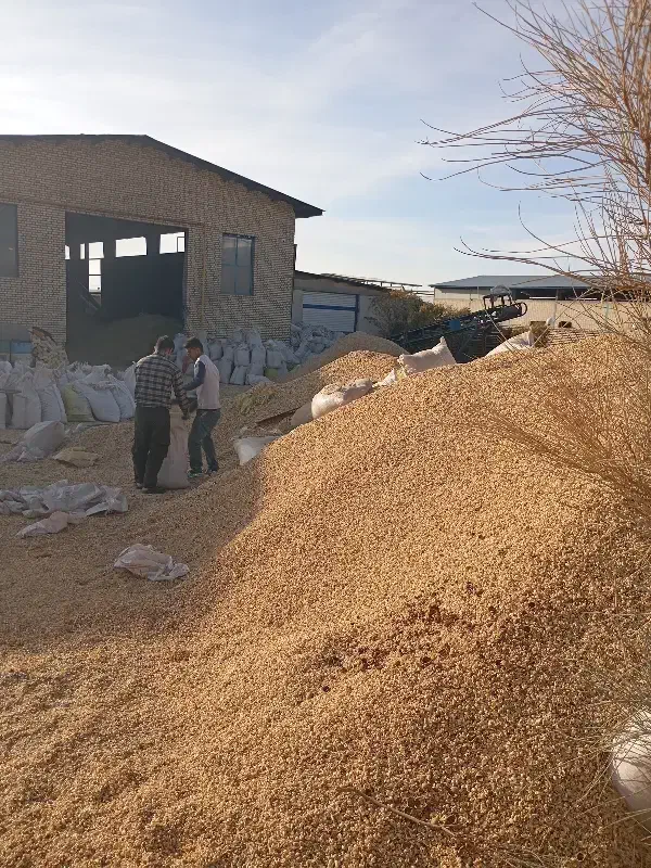 زغال نارگیل صادراتی در ابعاد دلخواه|عمدهفروشی|دلیجان, |دیوار