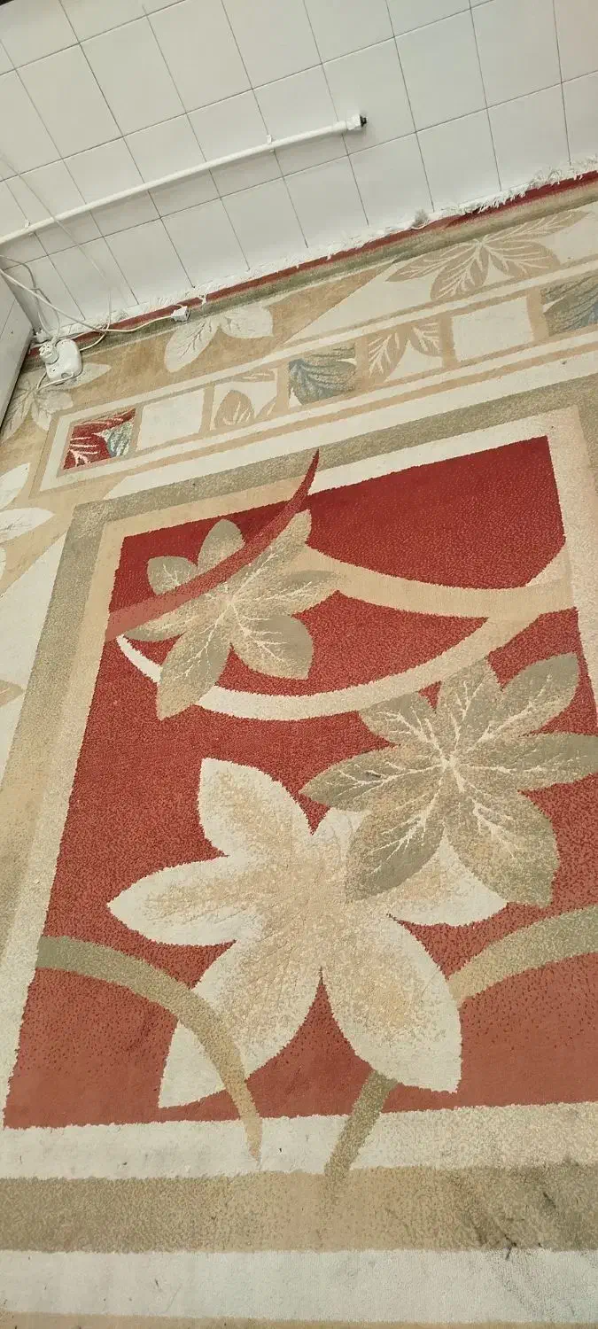 فرش ۹متری|فرش|پردیس, فاز ۲|دیوار