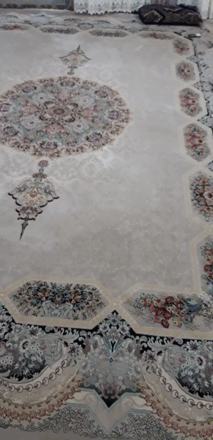 فرش آرا مشهد ۱۲ متری|فرش|آبیک, |دیوار