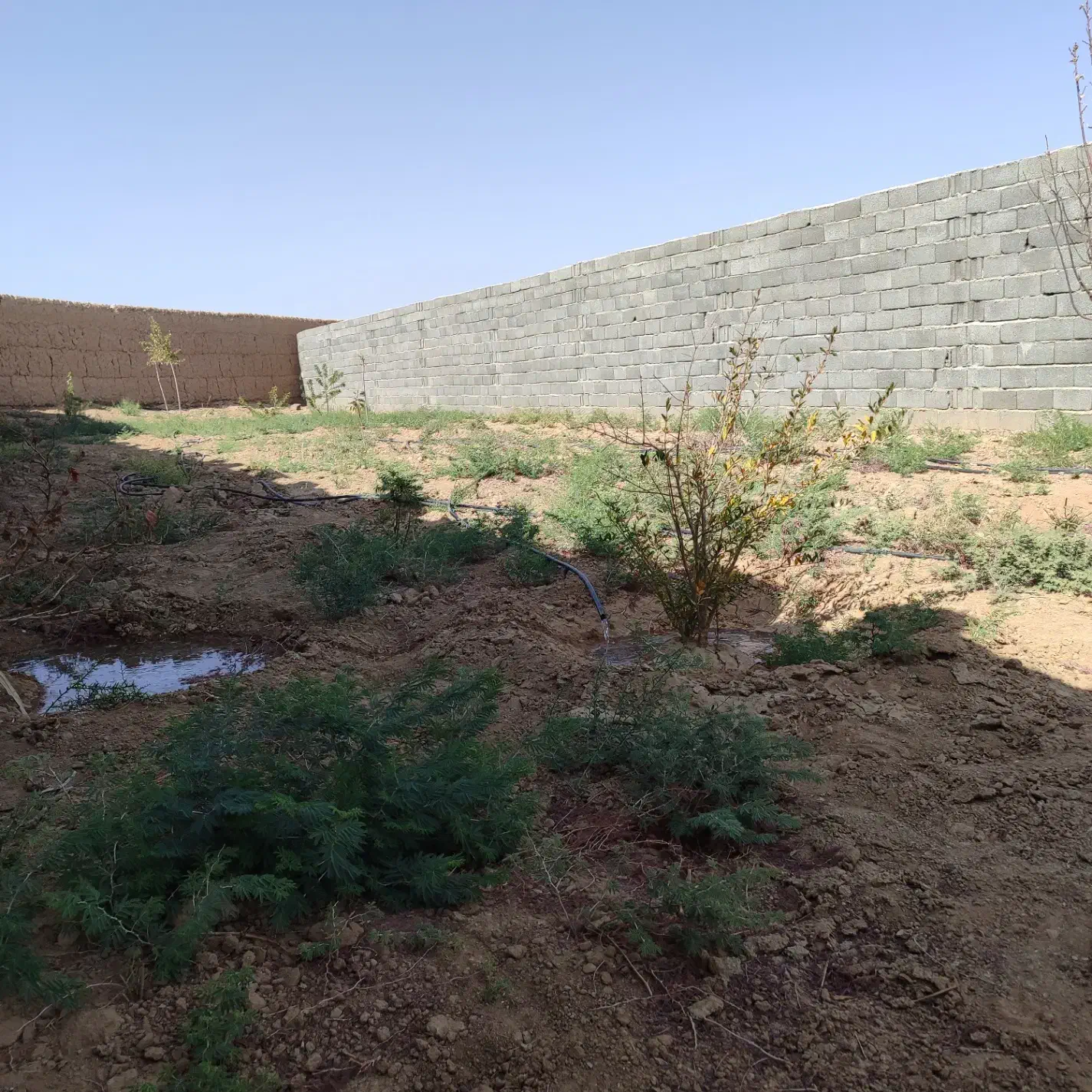 باغ سیدآبادو ۴۱۰ متر|فروش خانه و ویلا|امیرآباد, |دیوار