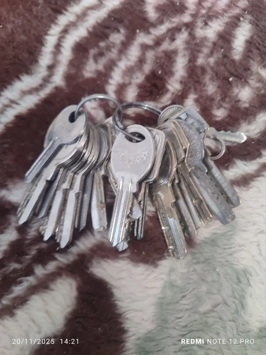 پیداشده|اشیا|سبزوار, گلشن|دیوار