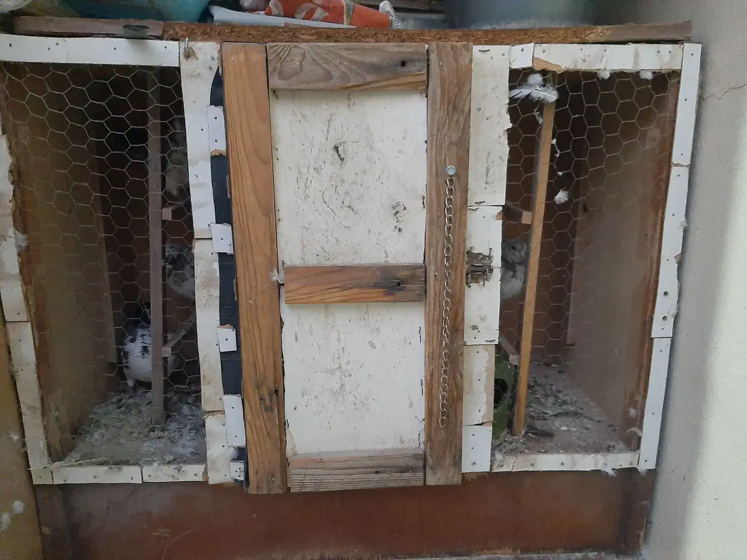 قفس کبوتر با نی بند|لوازم جانبی حیوانات|رودهن, |دیوار